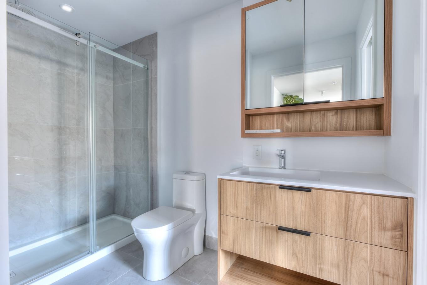 Salle de bains - 207-1971 Rue Du Havre, Montréal (Ville-Marie), QC - Indoor Photo Showing Bathroom