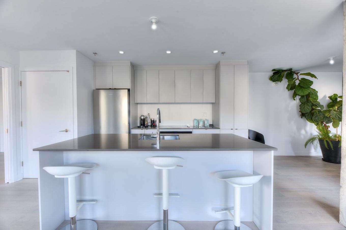 Cuisine - 207-1971 Rue Du Havre, Montréal (Ville-Marie), QC - Indoor Photo Showing Kitchen With Upgraded Kitchen