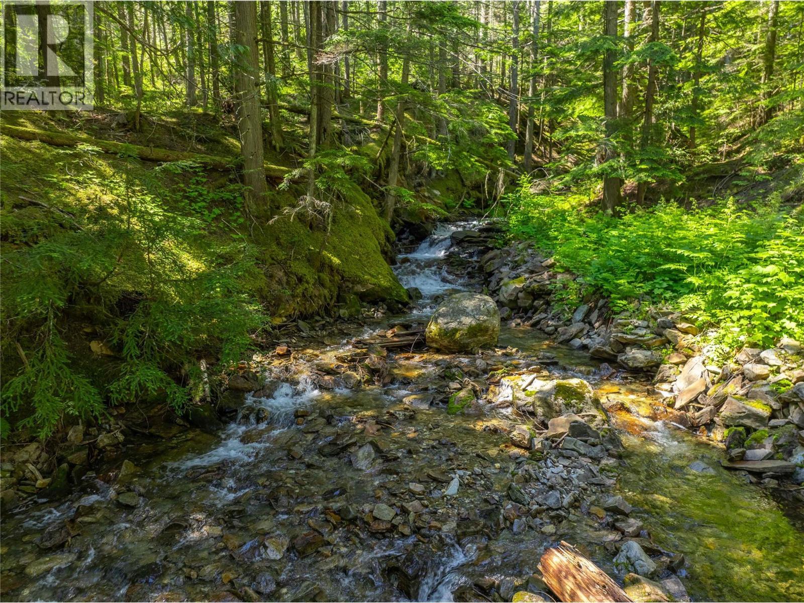 1734 Mt Begbie Road, Revelstoke, BC - Outdoor