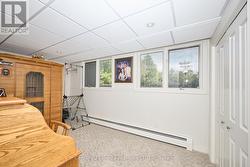 Lower Level 4th Bedroom with windows and closet -