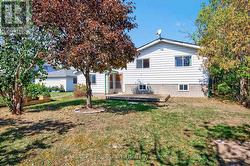 GOOD SIZED BACK GARDEN -