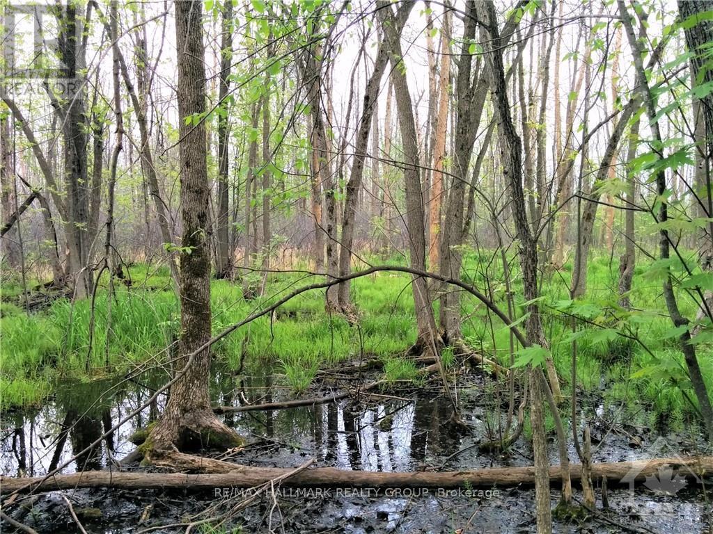 49 Rideau Avenue N, Smiths Falls, ON