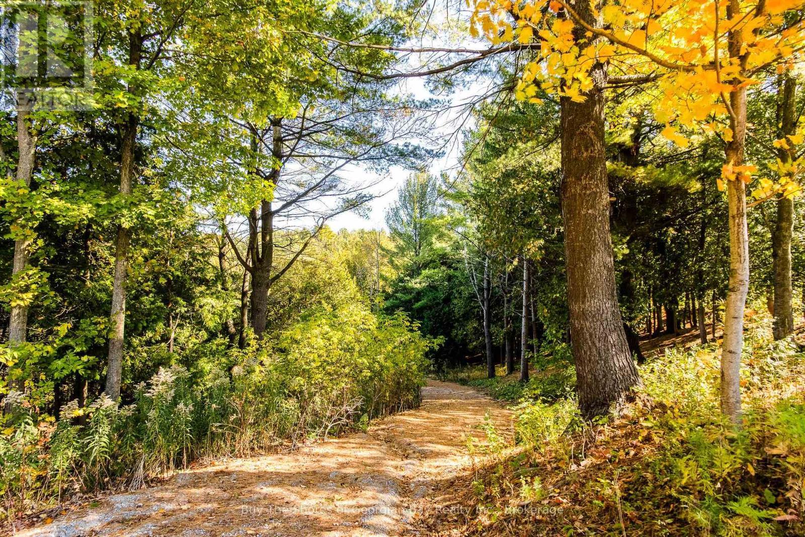 399 Dawson'S Side Road, Tiny, ON - Outdoor With View