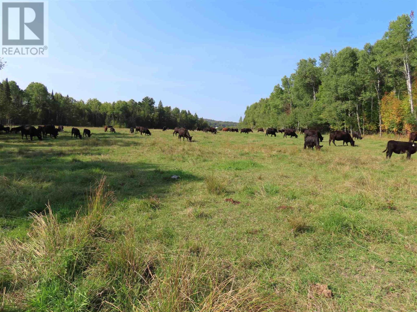 1804 Gordon Lake Rd, Johnson Township, ON