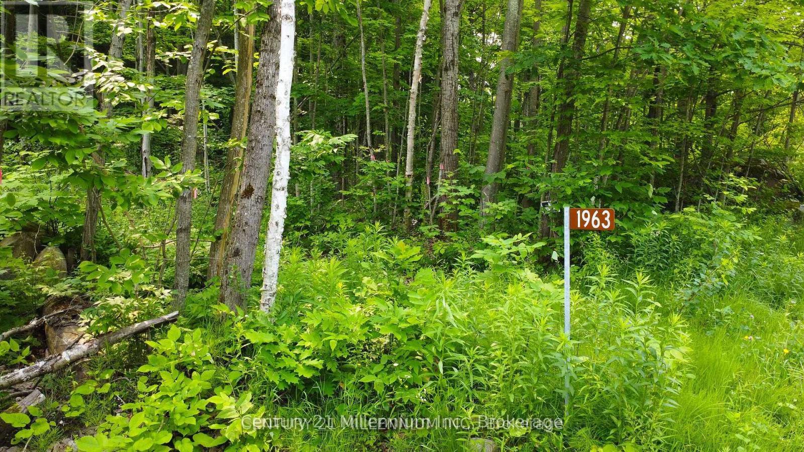 1963 Lot 52 Tiny Beaches Road N, Tiny, ON