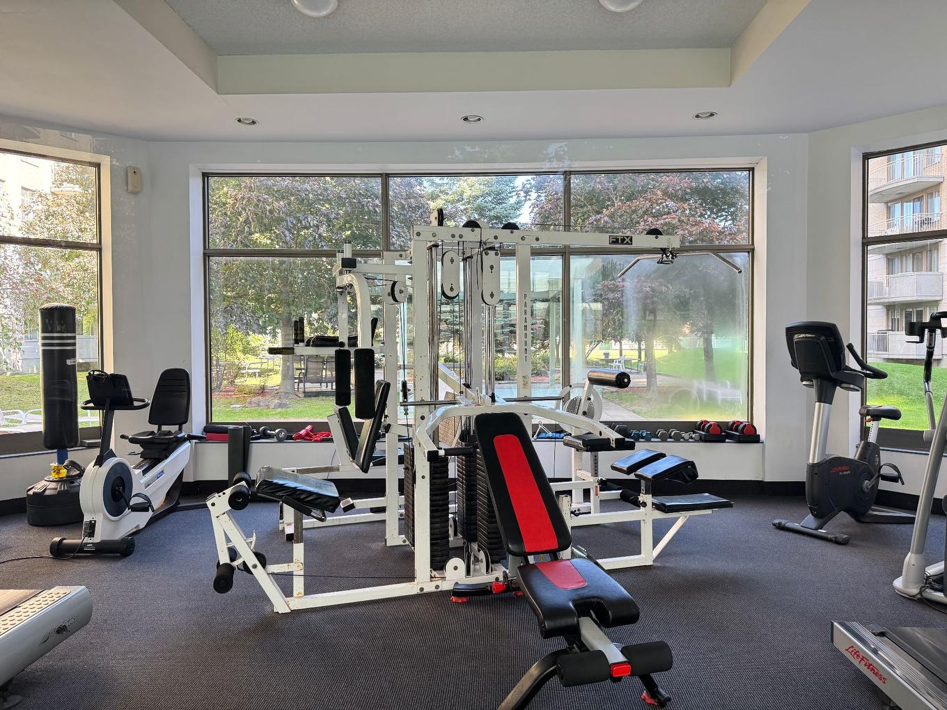 Exercise room - 202-11115 Boul. Cavendish, Montréal (Saint-Laurent), QC - Indoor Photo Showing Gym Room