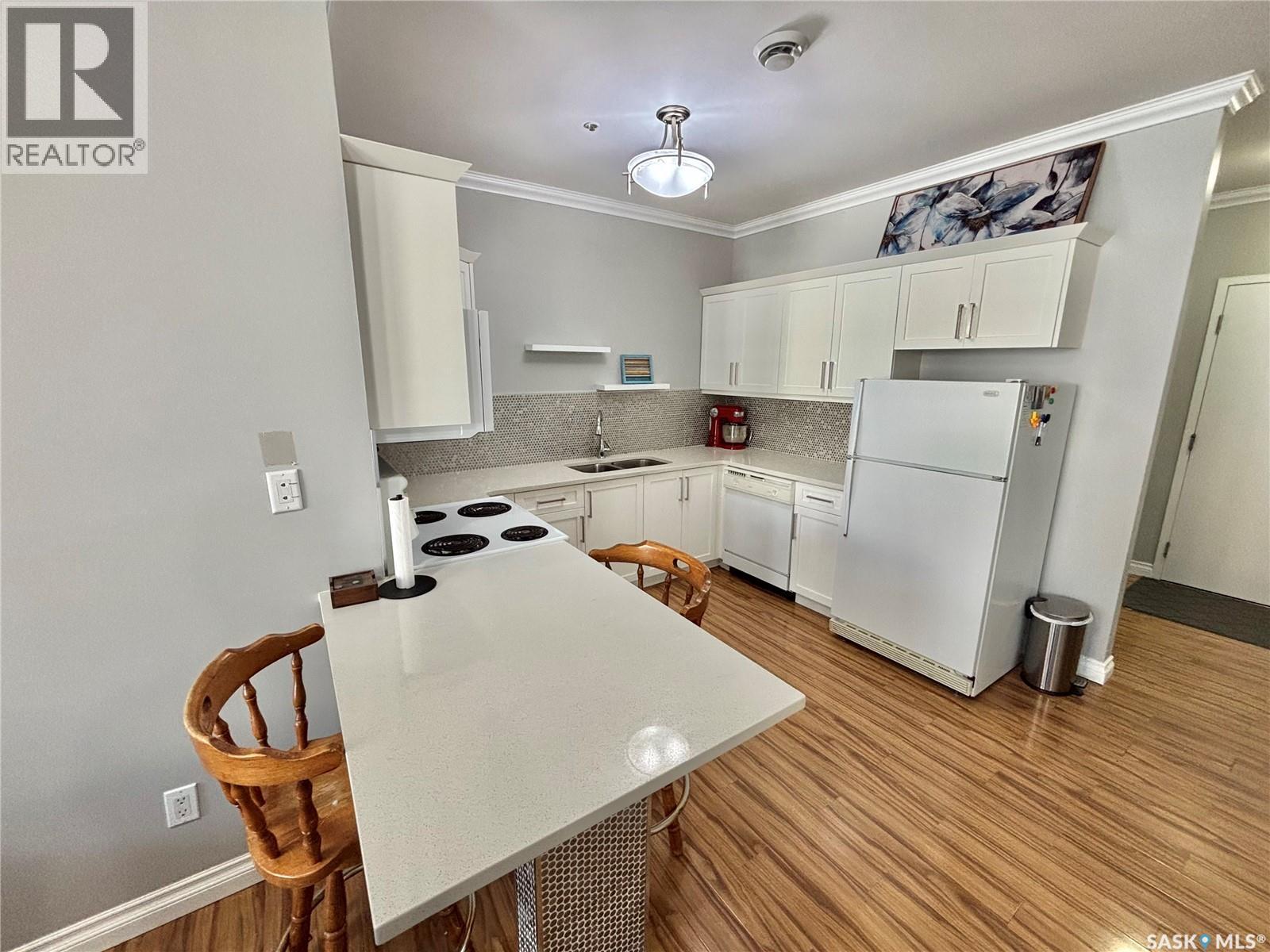 503 1867 Hamilton Street, Regina, SK - Indoor Photo Showing Kitchen With Double Sink