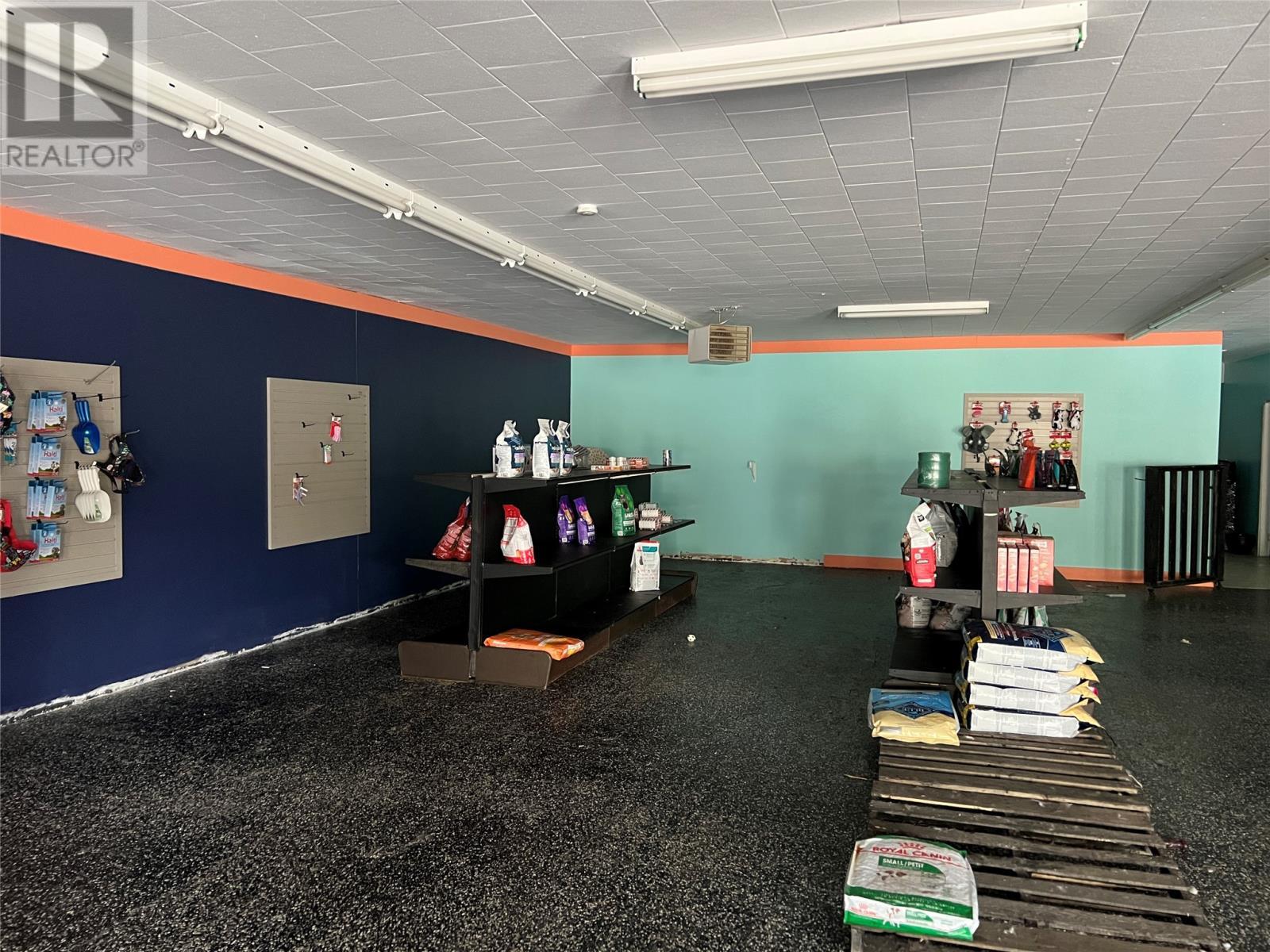 119 Main Street, Springdale, NL