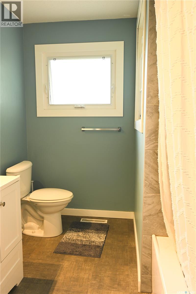 103 3Rd Avenue, Hanley, SK - Indoor Photo Showing Bathroom