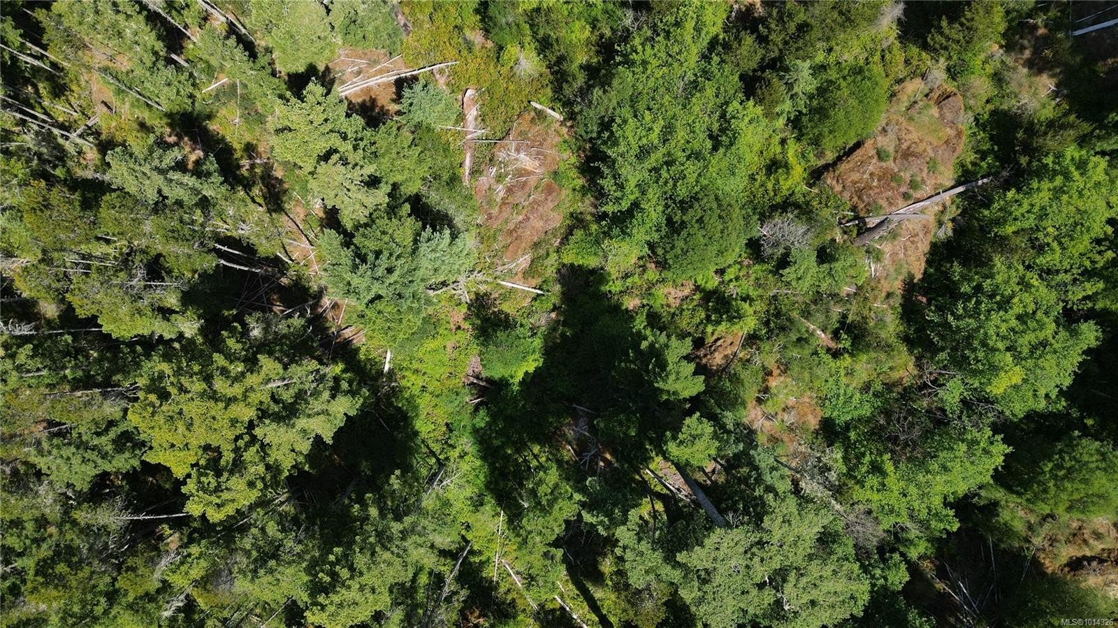 3799 Otter Point Rd, Sooke, BC