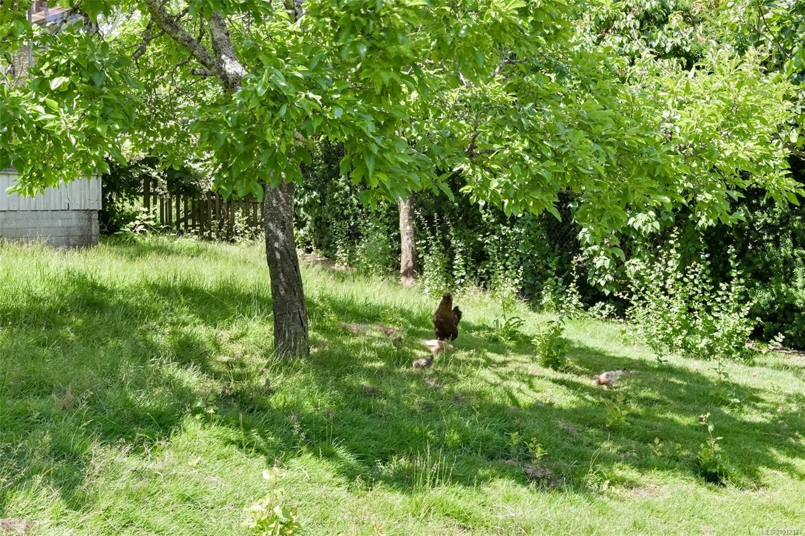 5489 Forest Hill Rd, Saanich, BC