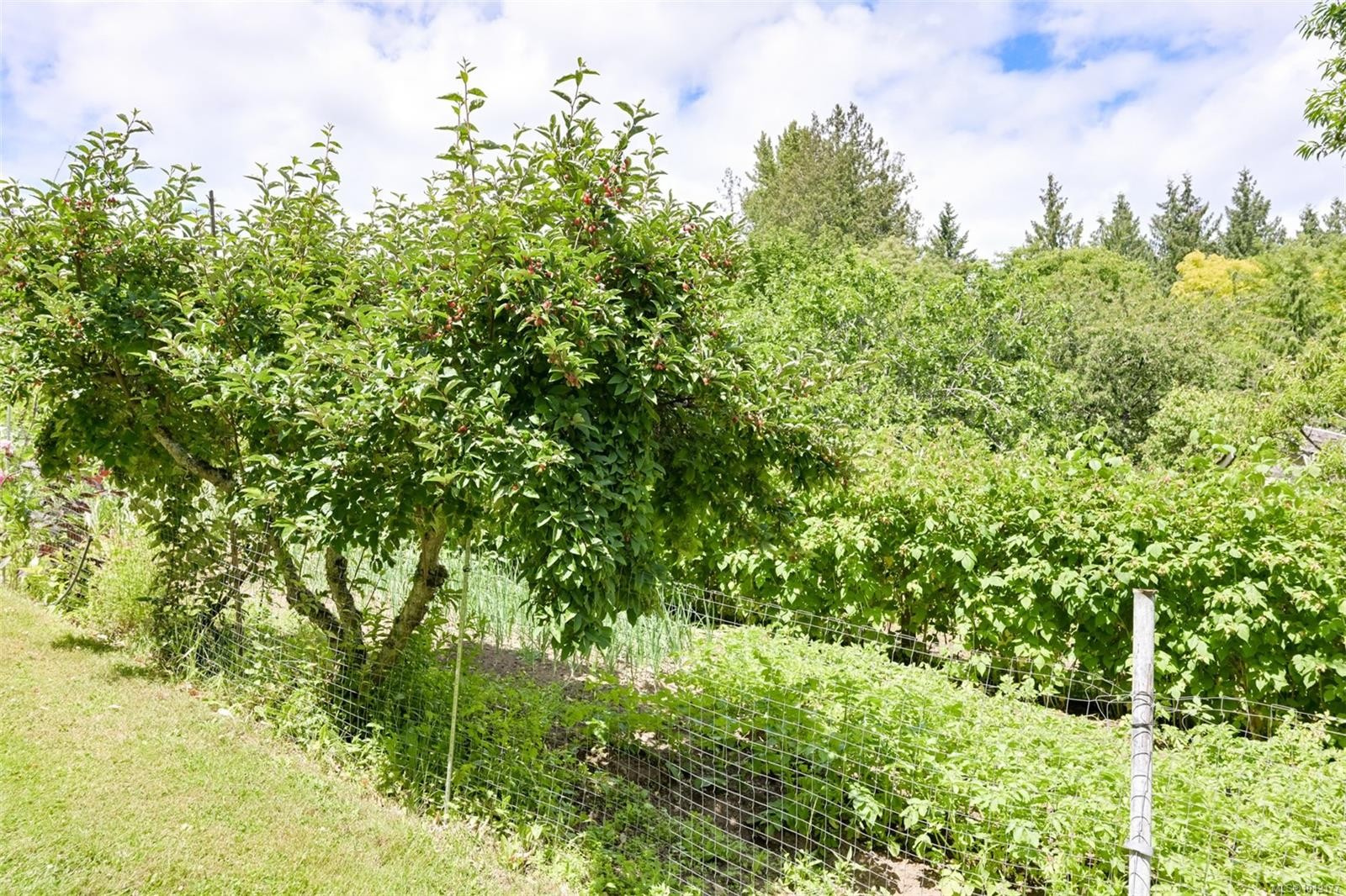 5489 Forest Hill Rd, Saanich, BC