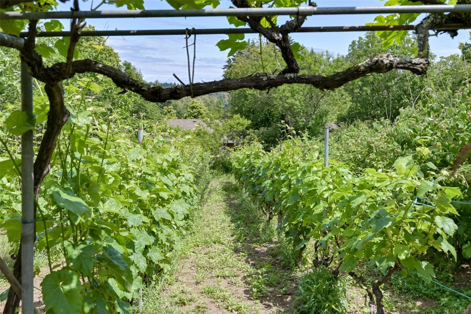 5489 Forest Hill Rd, Saanich, BC