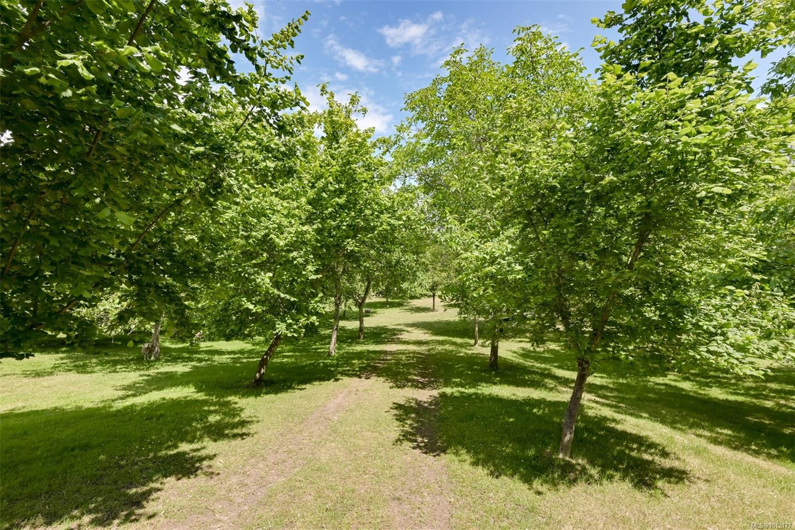 5489 Forest Hill Rd, Saanich, BC