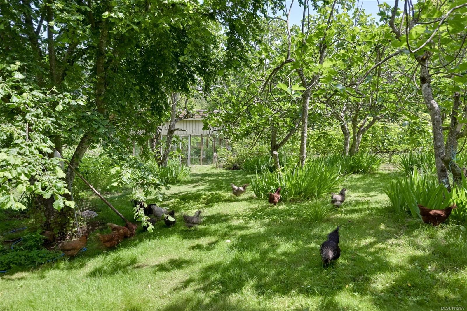 5489 Forest Hill Rd, Saanich, BC