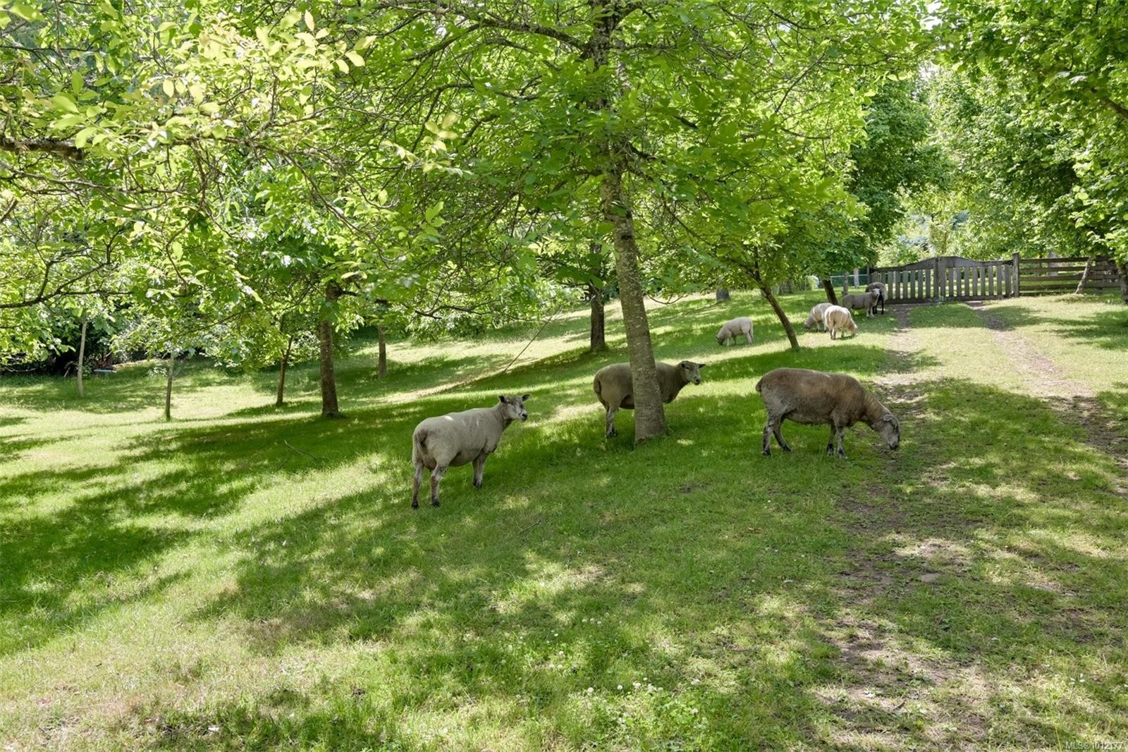 5489 Forest Hill Rd, Saanich, BC