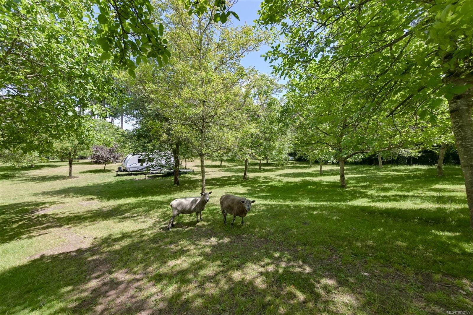 5489 Forest Hill Rd, Saanich, BC