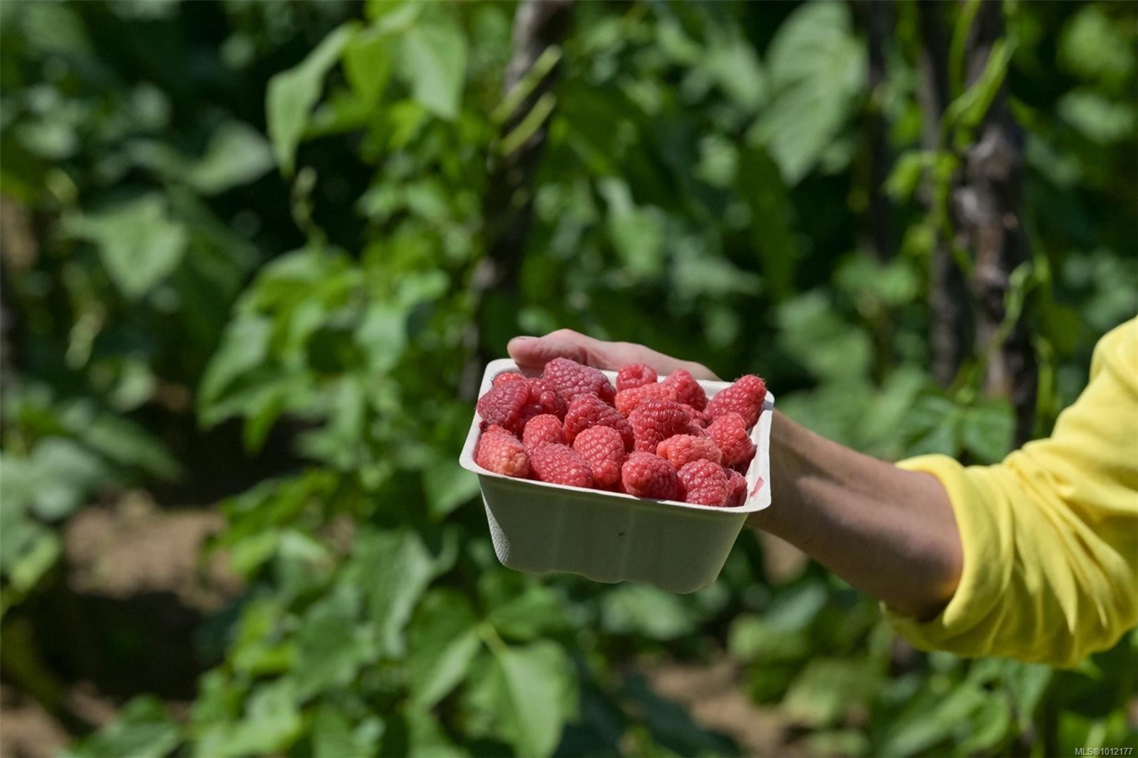 5489 Forest Hill Rd, Saanich, BC