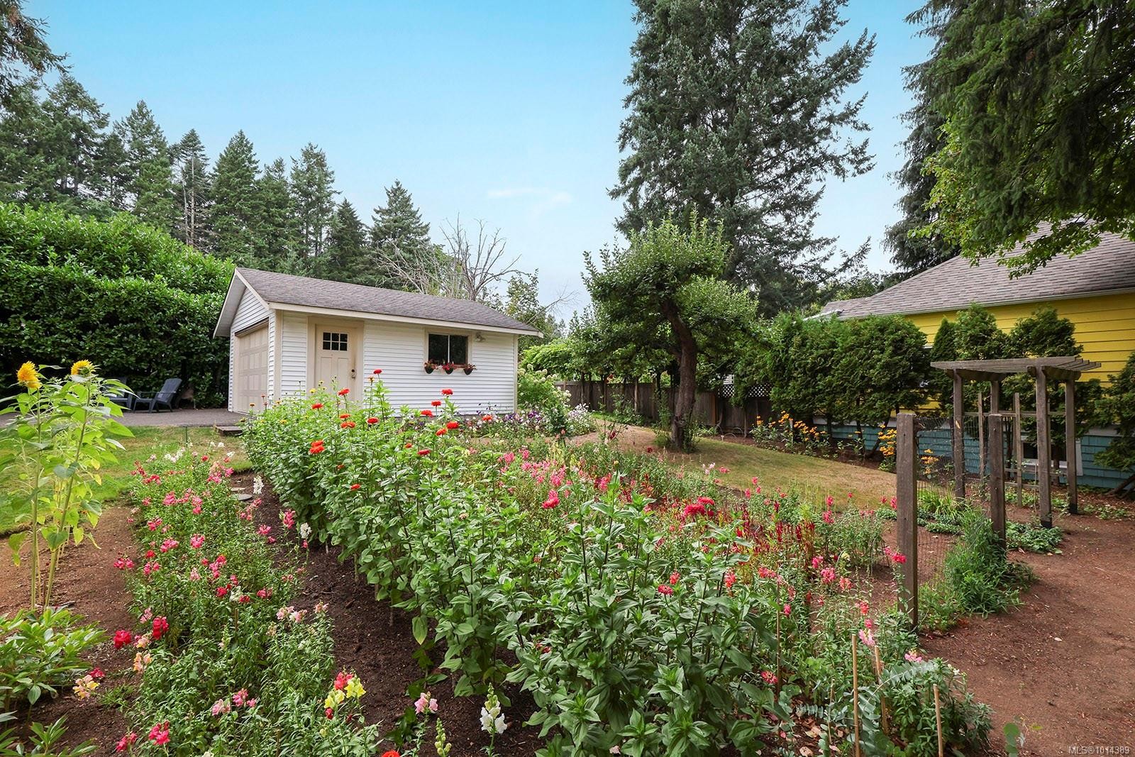 185 Duncan Ave, Courtenay, BC