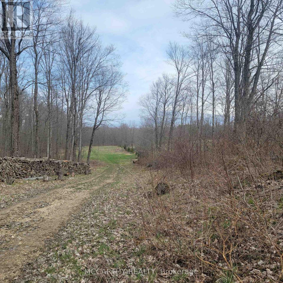 467323 12Th Con B, Grey Highlands, ON