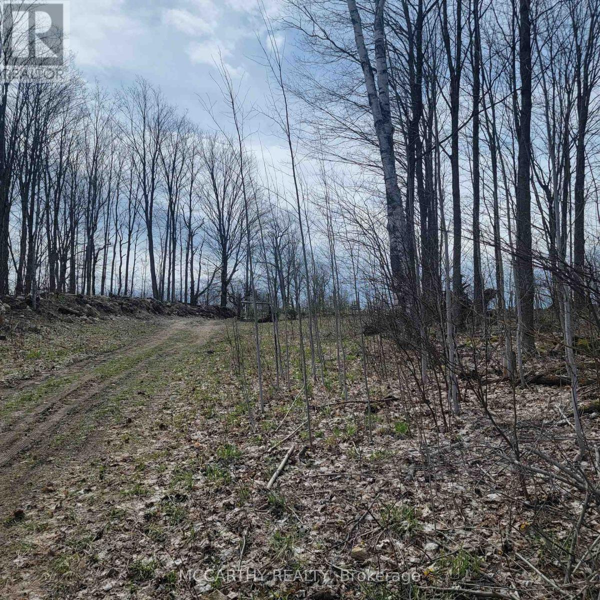 467323 12Th Con B, Grey Highlands, ON