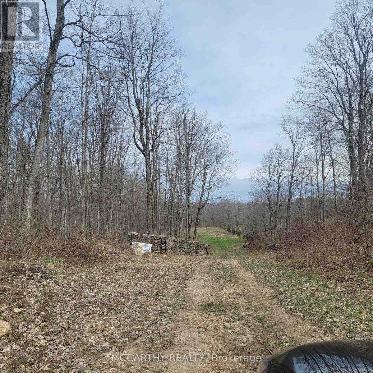 467323 12Th Con B, Grey Highlands, ON