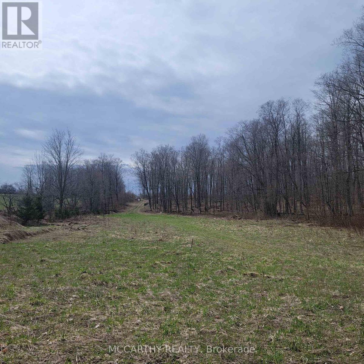 467323 12Th Con B, Grey Highlands, ON