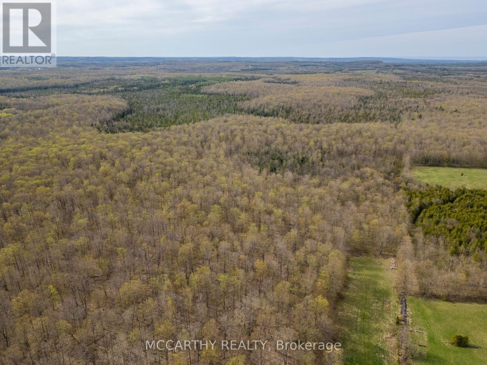 467323 12Th Con B, Grey Highlands, ON