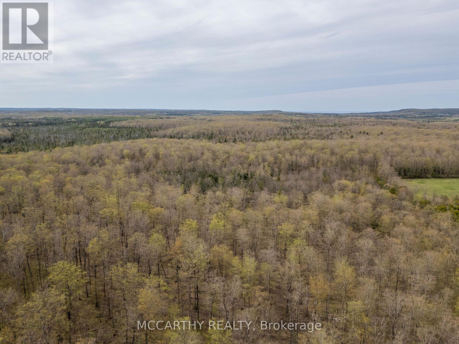 467323 12Th Con B, Grey Highlands, ON