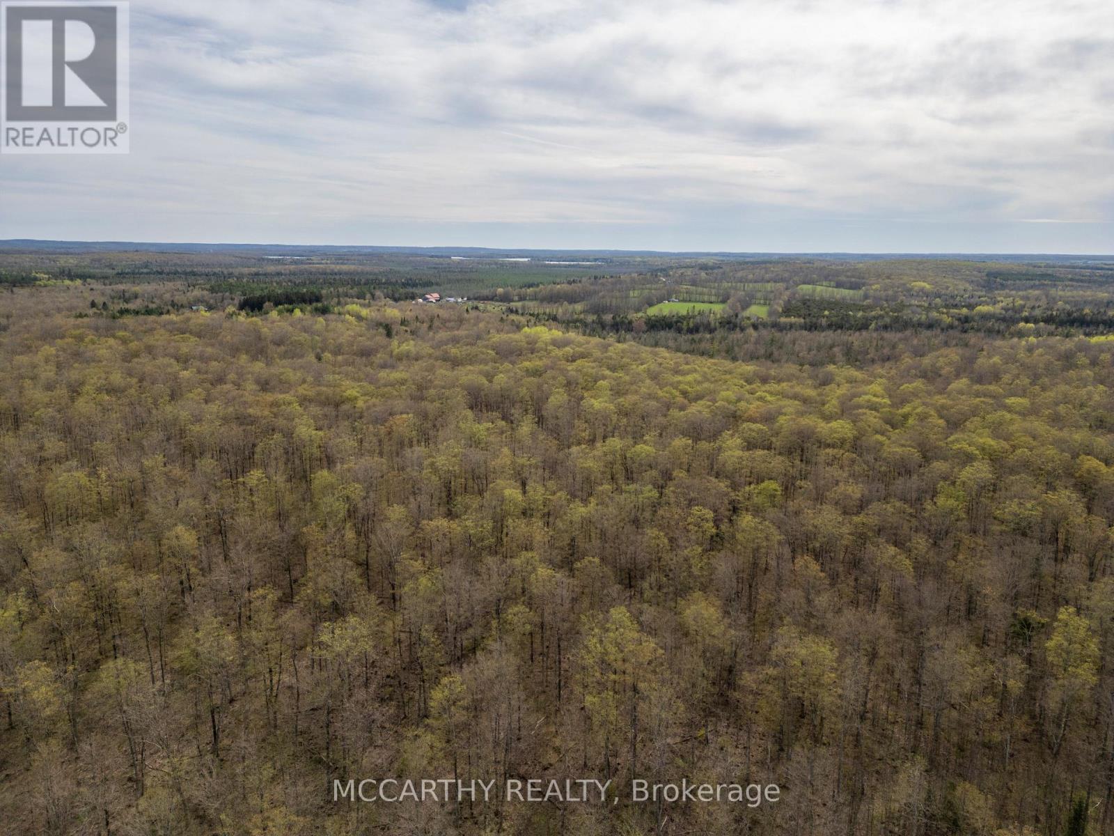 467323 12Th Con B, Grey Highlands, ON