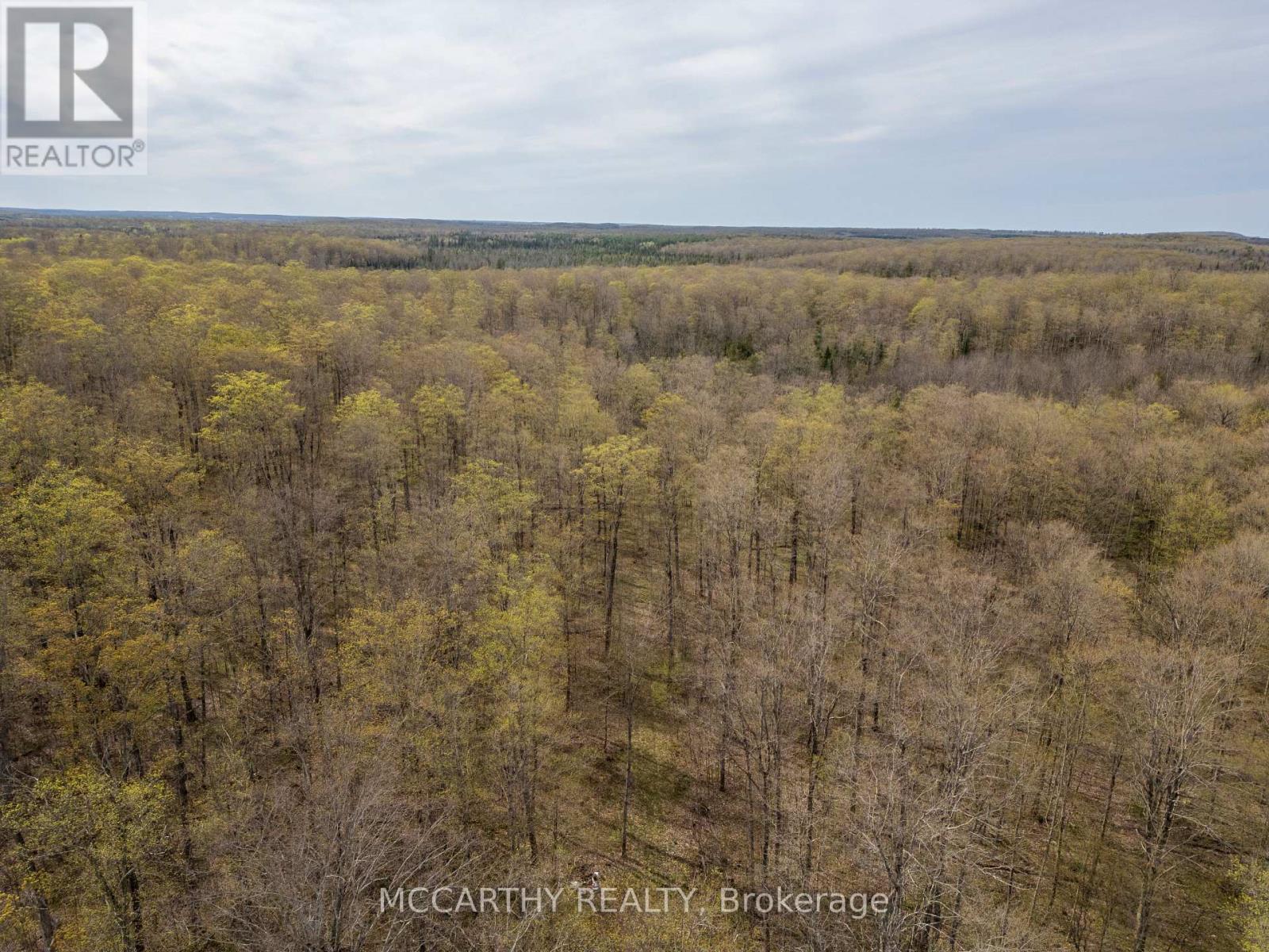 467323 12Th Con B, Grey Highlands, ON