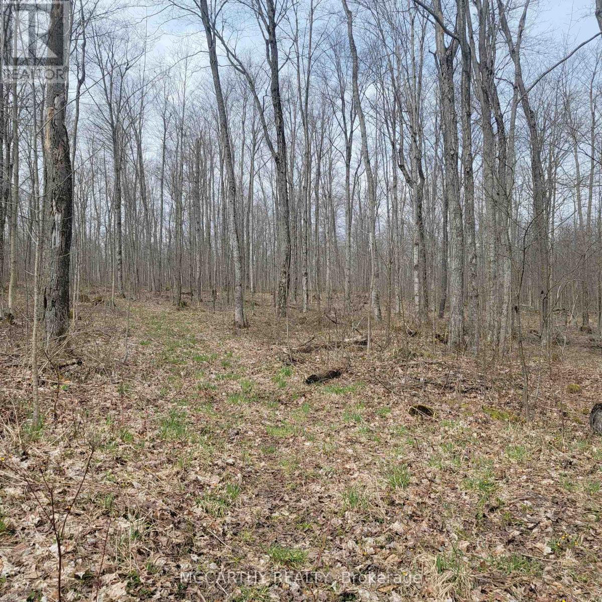 467323 12Th Con B, Grey Highlands, ON