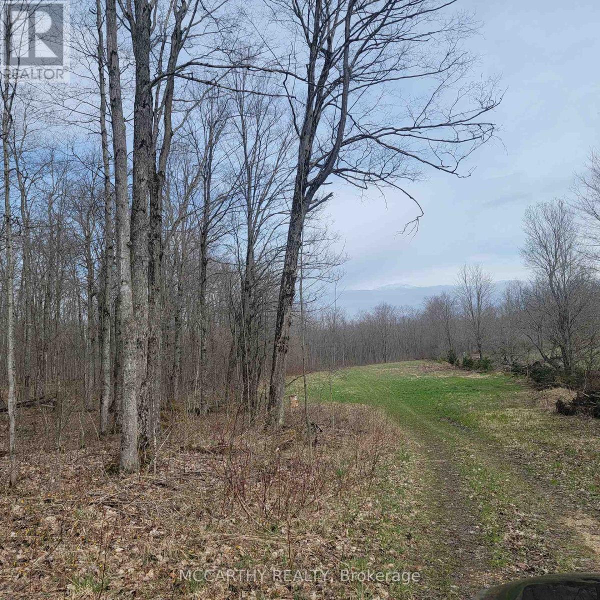 467323 12Th Con B, Grey Highlands, ON