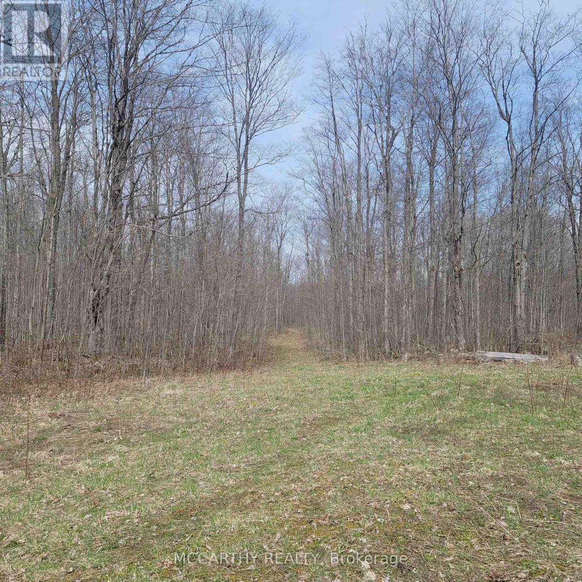 467323 12Th Con B, Grey Highlands, ON