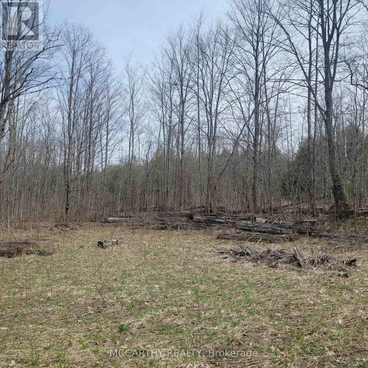 467323 12Th Con B, Grey Highlands, ON