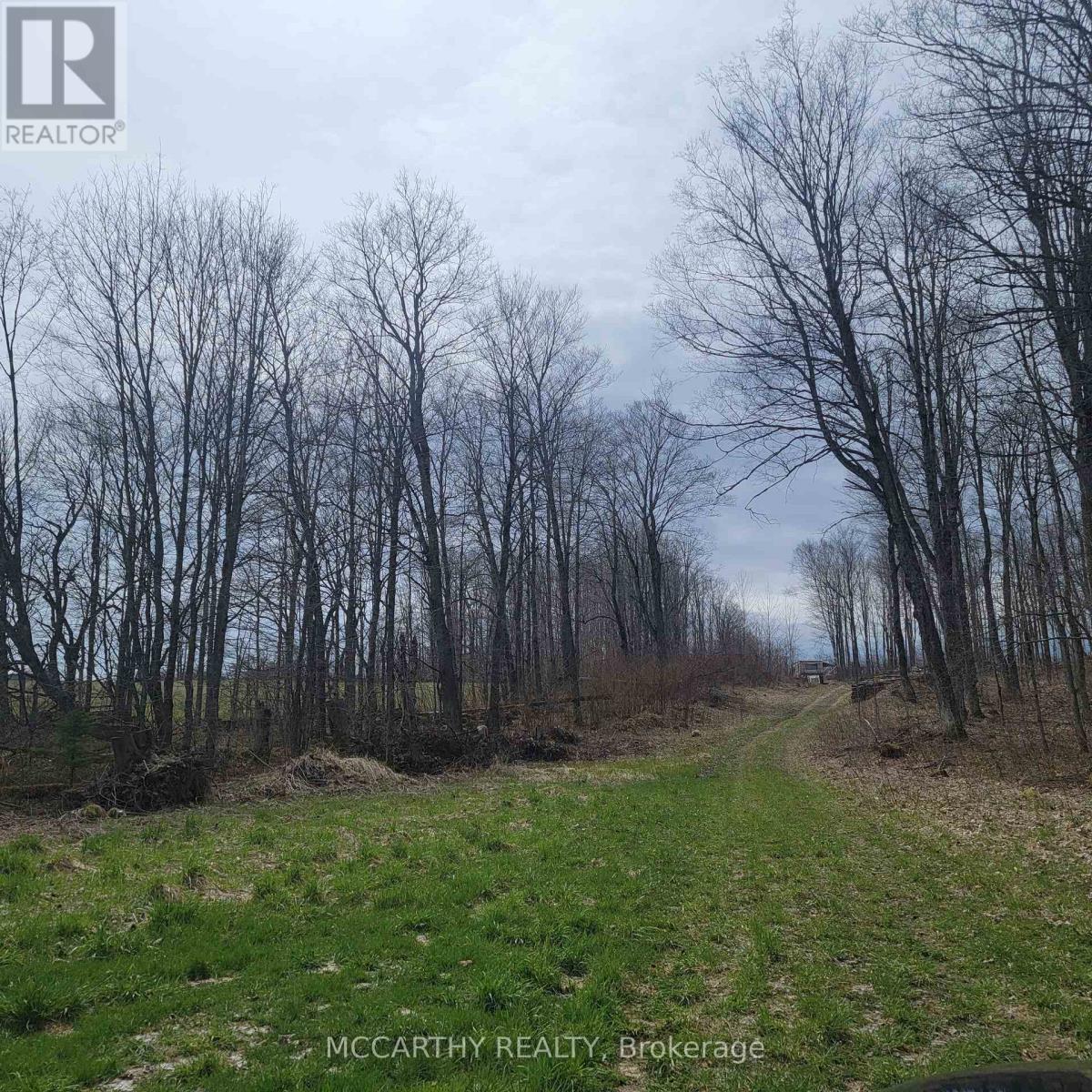 467323 12Th Con B, Grey Highlands, ON