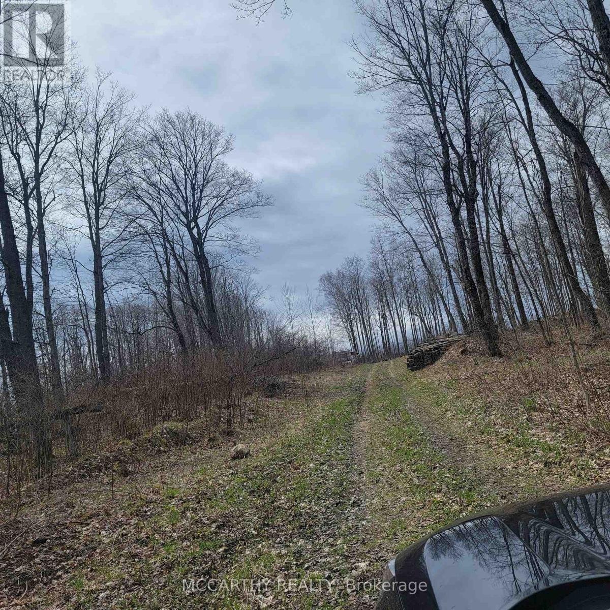 467323 12Th Con B, Grey Highlands, ON