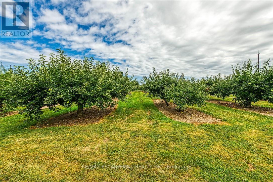 5581 King Street, Lincoln, ON - Outdoor With View