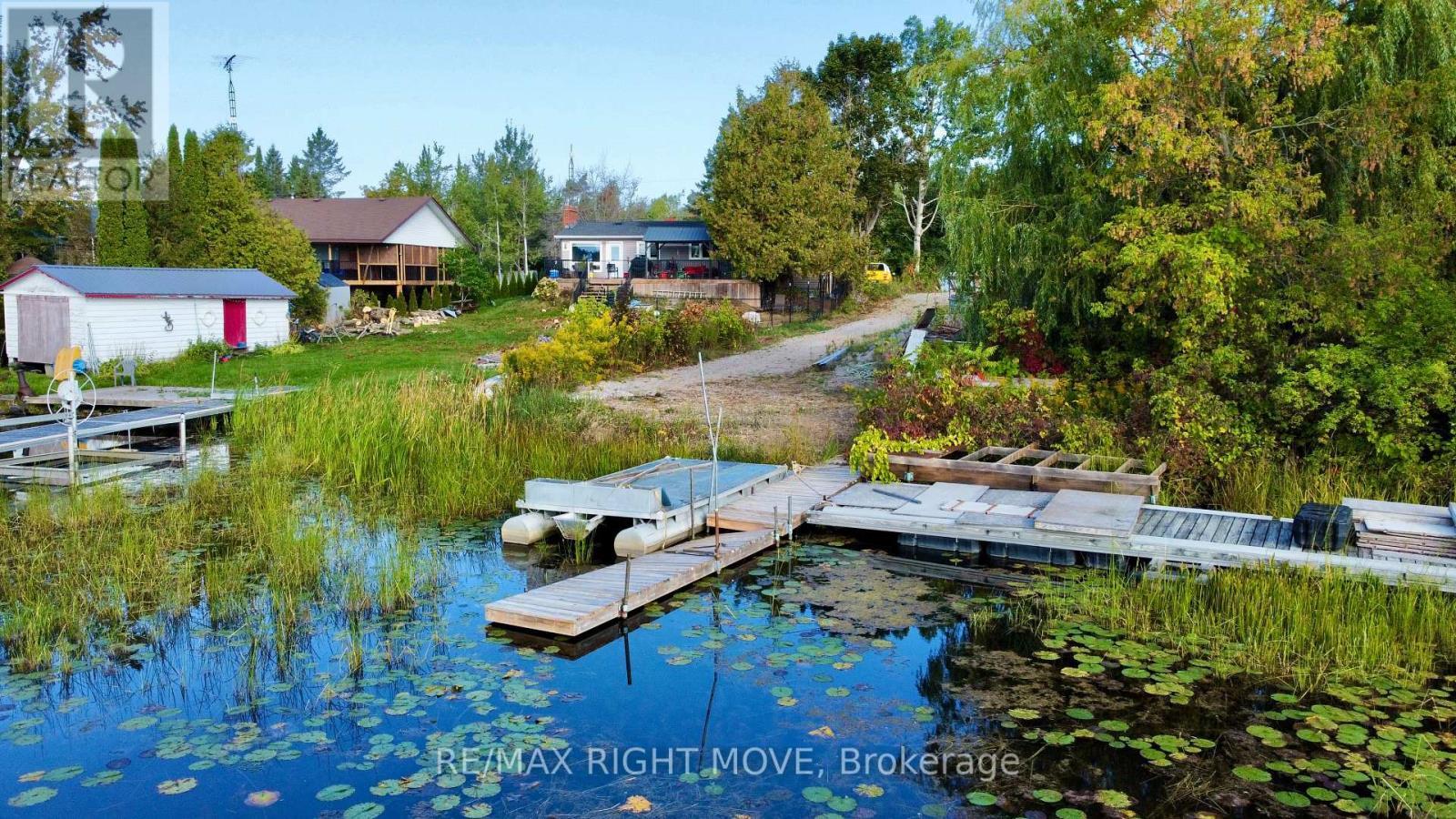 175 Mcguire Beach Road, Kawartha Lakes, ON