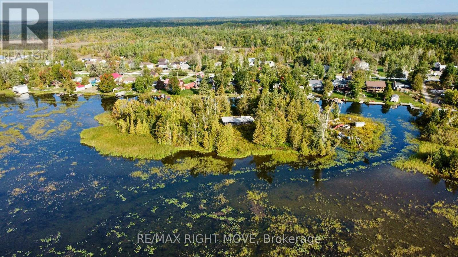 175 Mcguire Beach Road, Kawartha Lakes, ON