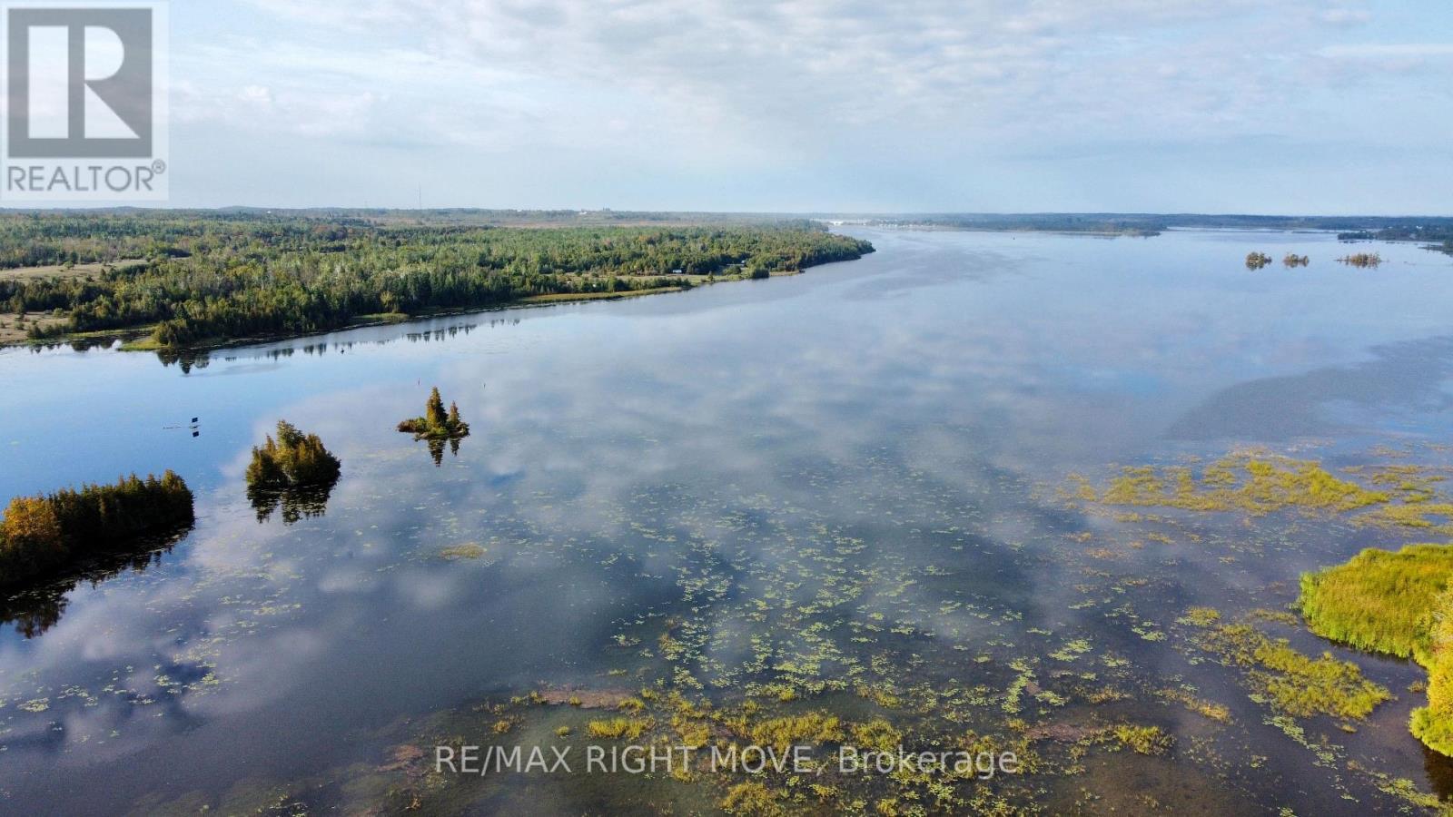 175 Mcguire Beach Road, Kawartha Lakes, ON