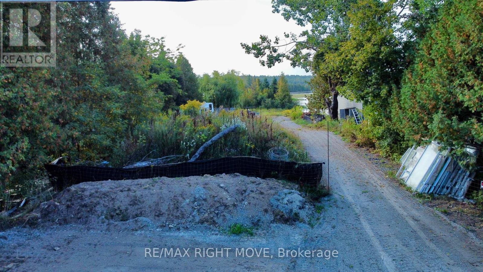 175 Mcguire Beach Road, Kawartha Lakes, ON