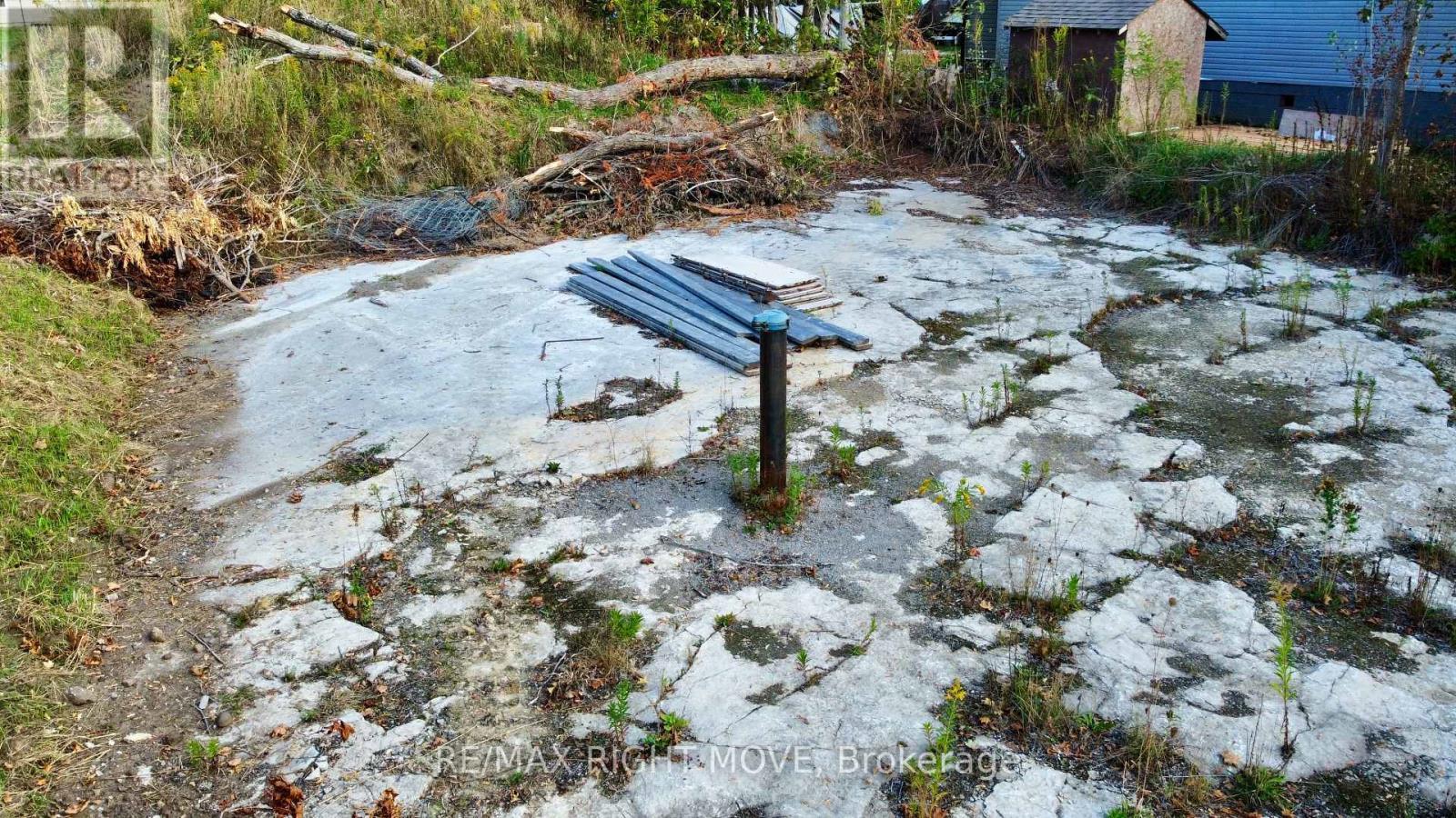 175 Mcguire Beach Road, Kawartha Lakes, ON