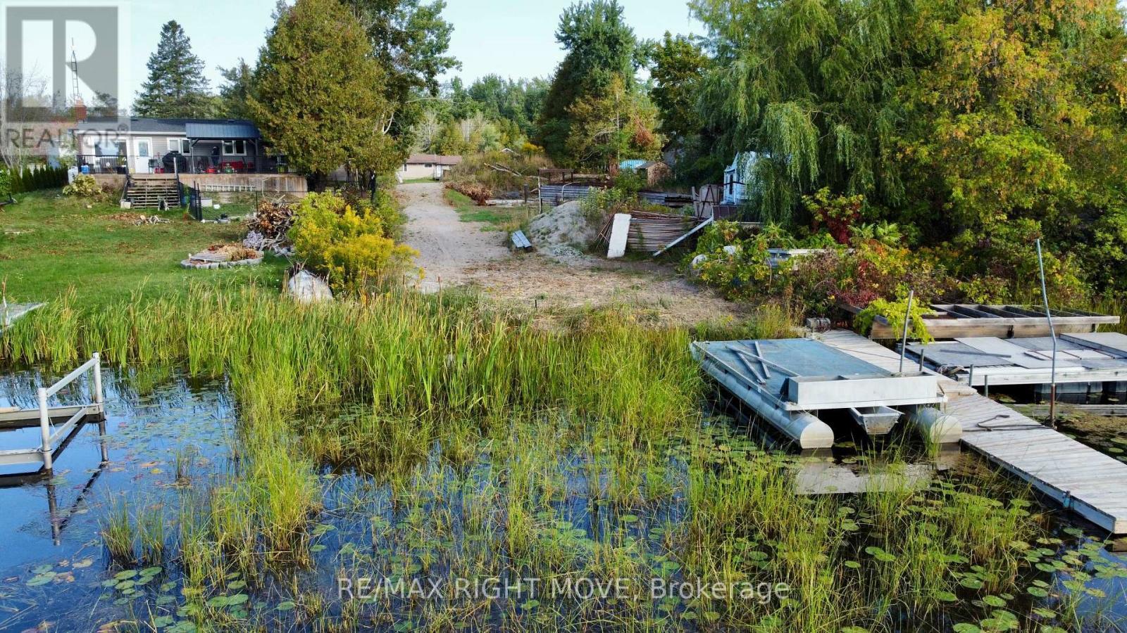 175 Mcguire Beach Road, Kawartha Lakes, ON