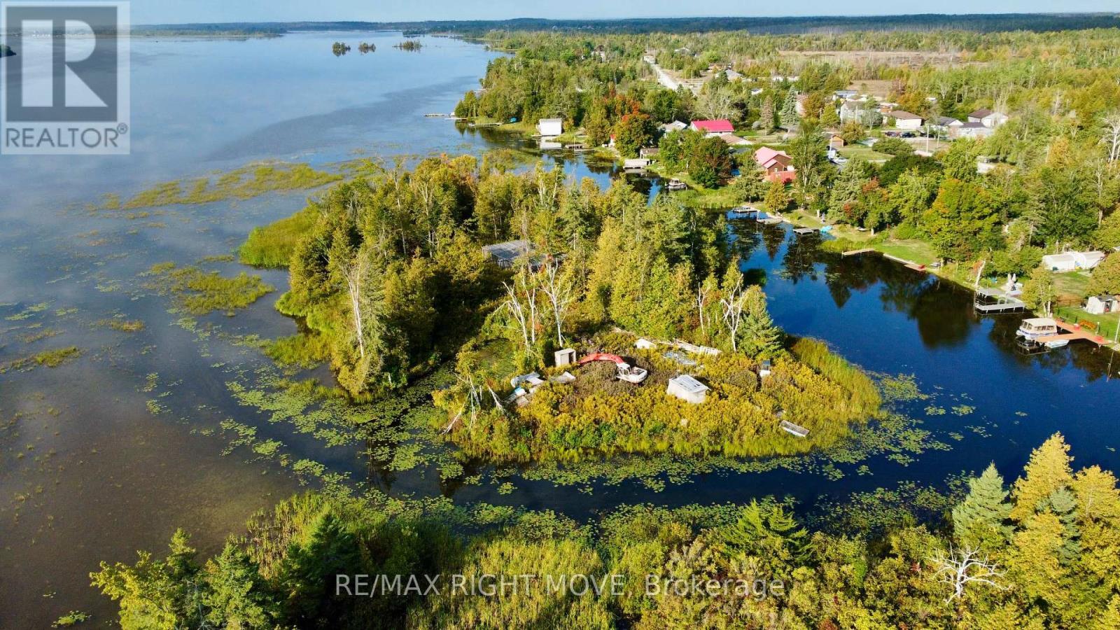 175 Mcguire Beach Road, Kawartha Lakes, ON