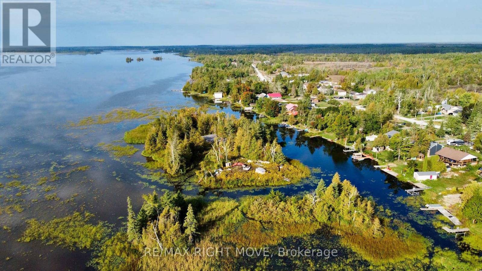 175 Mcguire Beach Road, Kawartha Lakes, ON