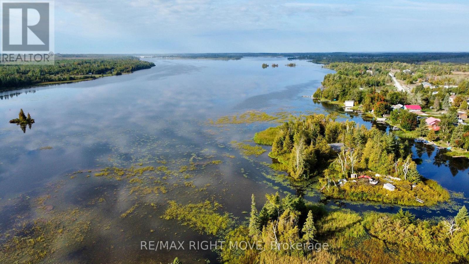 175 Mcguire Beach Road, Kawartha Lakes, ON