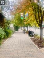 Walk to the beach! -