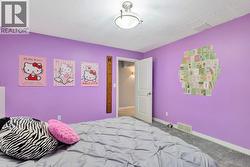 Second lower level bedroom -