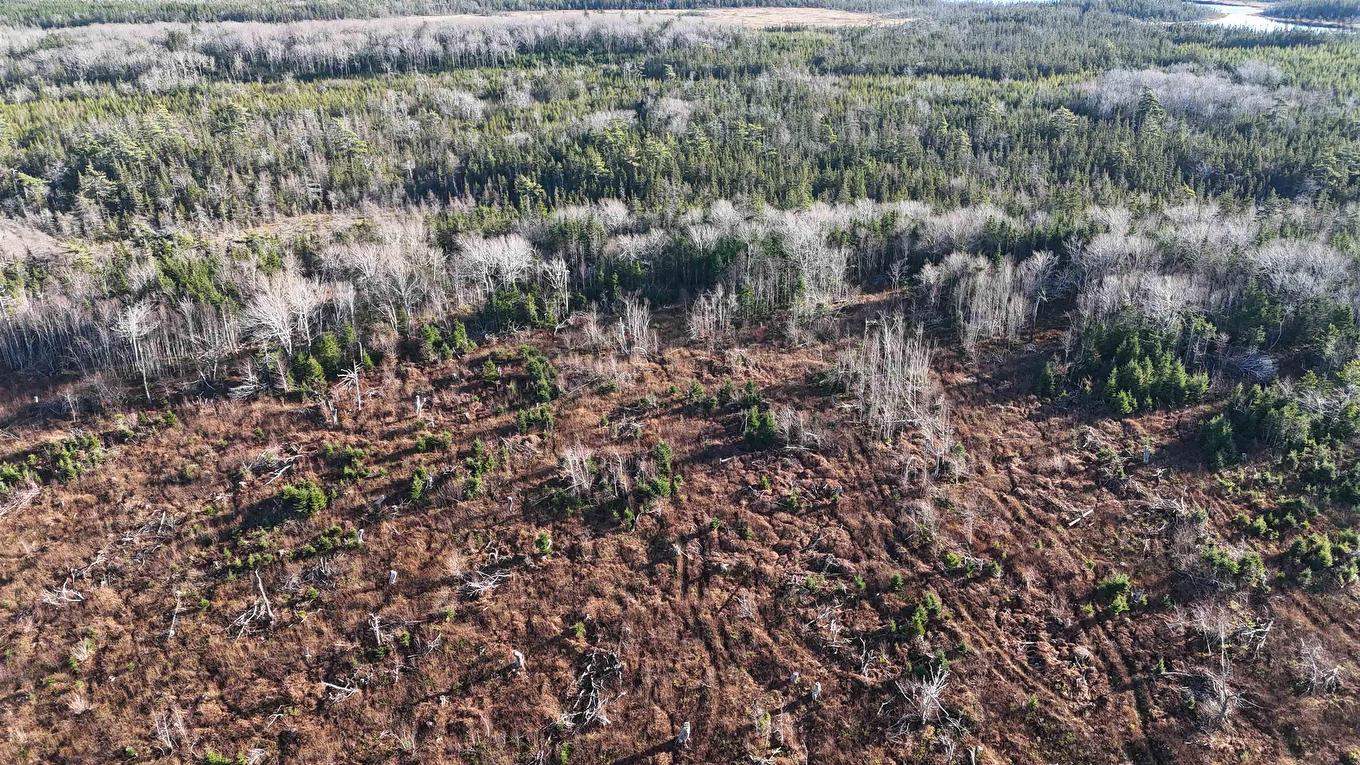 Salmon River Road, Enon, NS